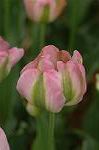 Dcim6825/DSC_0180