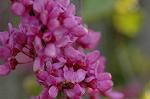 Dcim6825/DSC_0250
