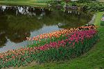 Dcim6826/DSC_4203