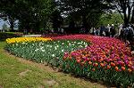 Dcim6826/DSC_4240