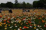 Dcim6827/DSC_4257