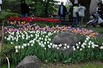 Dcim6827/DSC_4270