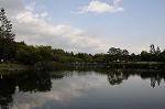 Dcim6827/DSC_4319