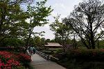 Dcim6827/DSC_4334