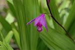 Dcim6830/DSC_0288