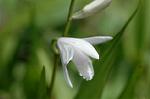 Dcim6830/DSC_0298