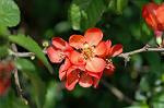 Dcim6830/DSC_0309