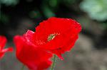 Dcim6830/DSC_0342