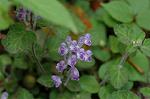 Dcim6831/DSC_0438