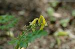 Dcim6831/DSC_0508