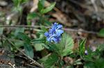 Dcim6831/DSC_0526