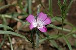 Dcim6832/DSC_0562