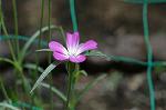 Dcim6832/DSC_0569