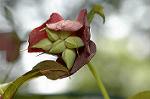 Dcim6832/DSC_0576