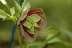 Dcim6832/DSC_0581