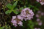 Dcim6833/DSC_0700