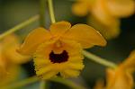 Dcim6833/DSC_0712