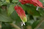 Dcim6833/DSC_0749