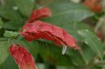Dcim6833/DSC_0750