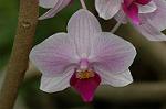 Dcim6833/DSC_0762