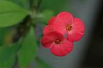 Dcim6833/DSC_0770