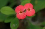 Dcim6833/DSC_0771
