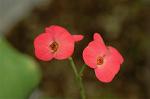 Dcim6833/DSC_0773