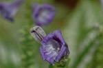 Dcim6833/DSC_0782