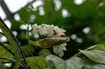 Dcim6833/DSC_0788