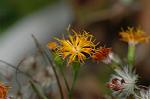 Dcim6834/DSC_0804