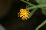 Dcim6834/DSC_0806
