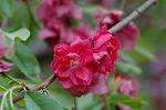 Dcim6834/DSC_0808