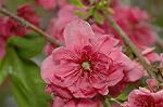Dcim6834/DSC_0809