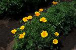 Dcim6835/DSC_4690