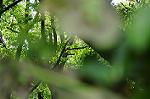 Dcim6835/DSC_4790