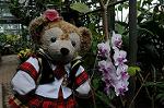 Dcim6836/DSC_4881