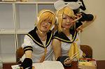 Dcim6845/DSC_6203