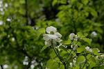 Dcim6851/DSC_0936