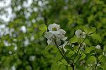 Dcim6851/DSC_0937