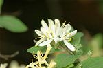 Dcim6851/DSC_0974