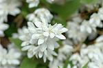 Dcim6851/DSC_0990