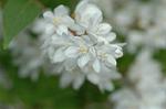 Dcim6851/DSC_0993