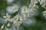 Dcim6851/DSC_1023