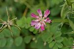 Dcim6851/DSC_1025