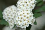 Dcim6851/DSC_1047