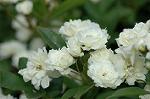 Dcim6851/DSC_1069