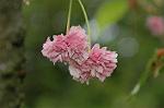 Dcim6852/DSC_1143