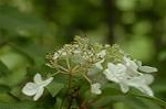 Dcim6853/DSC_1268