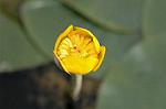 Dcim6853/DSC_1304