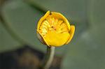 Dcim6853/DSC_1306